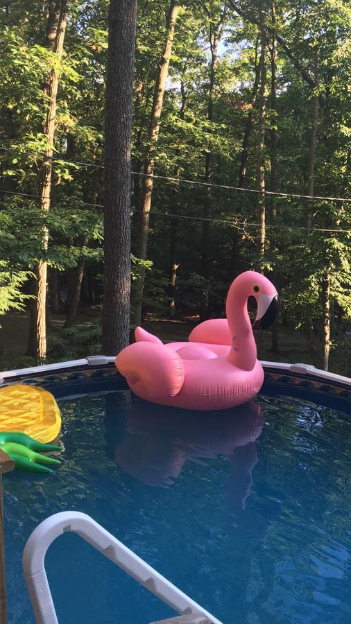 Pocono Cabin With Private Pool At Shawnee Mtn East Stroudsburg Kültér fotó